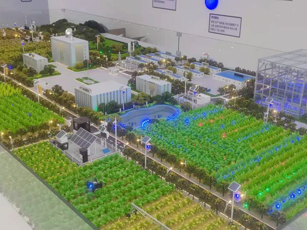 农业模型
